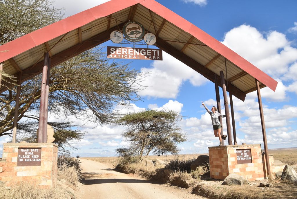 Serengeti safari gate and wilderness route
